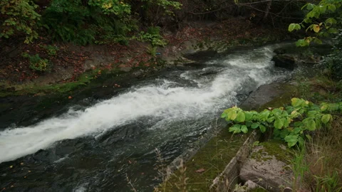 Overcast Day Stream Current in Narrow Norway Gully Stock Footage 345768861