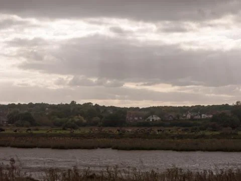 Overcast dramatic grey storm clouds above river through country land Stock Photos