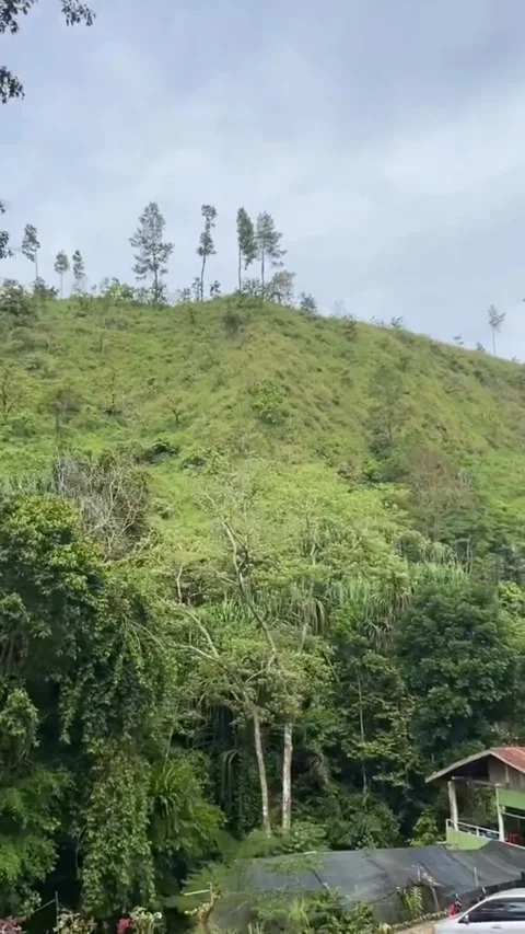 Overcast Stock Footage 220508722