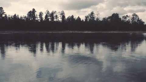 Overcast lake and forest Stock Footage 90995248