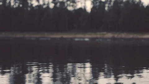 Overcast lake and forest Video stock 90995256