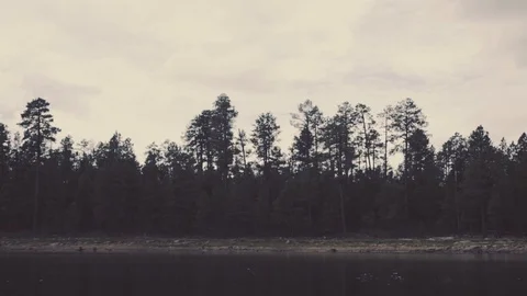 Overcast lake and forest Stock Footage 90995270