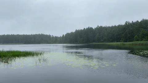 Overcast lake landscape surrounded by dense forest. Rain showers fall gentl.. Stock Footage 340546770