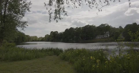 Overcast lake time lapse Video stock 154756493