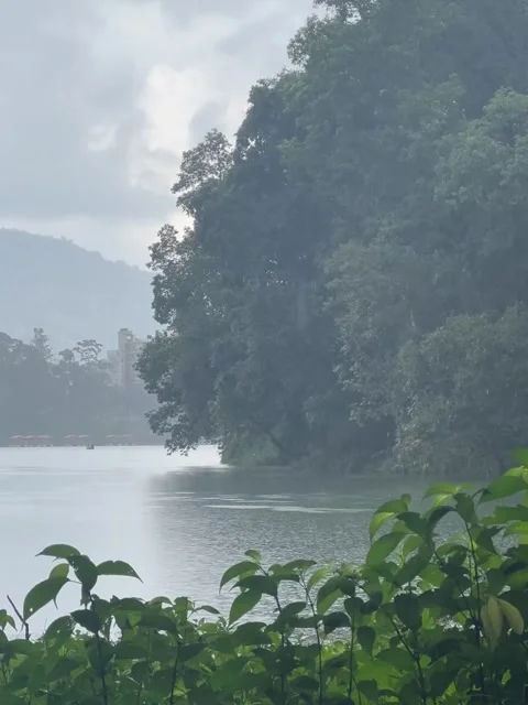 Overcast Lake View Through Green Foliage Vídeos de archivo 341629739