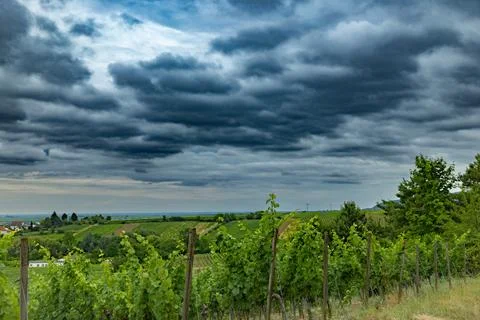 Overcast Landscape Stock Photos