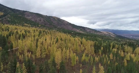 Overcast Mountain Drone 1 動画素材 173279048