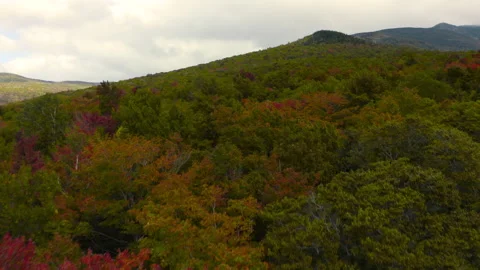 Overcast mountain range with autumn leaf colors during fall season aerial dr Stock Footage 161899150