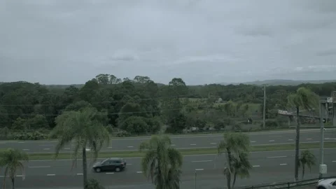 Overcast Palm-Lined Highway and Green Landscape in Sunshine Coast Queensland Stock Footage 341291100