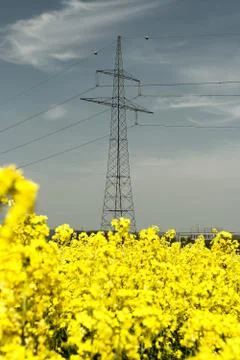 Overcast Stock Photos