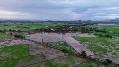 Overcast skies loom above flooded rice paddies Stock Footage 344048853