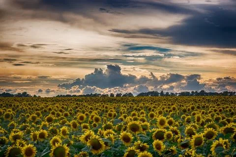 Overcast sky Stock Photos