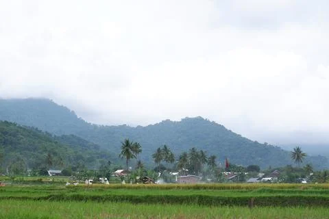 Overcast sky in the rice fields of Marente Village Stock Photos