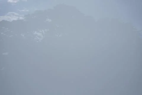 Overcast sky with silhouetted tree branches obscured by fog Foto stock