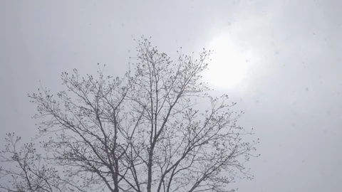 Overcast sky sun behind the clouds snowflakes falling slowmotion 250fps Stock Footage 75469149