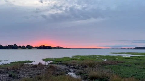 Overcast Sunset Over Coastal Marsh and Wetland Grassland Stock Footage 345305412