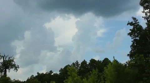 Overcast Time Lapse Among The Trees Stock Footage 41686344