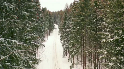 Overcast Winter Landscape With Forest And Snowy Road Video stock 164604194