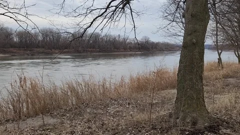 Overcast Winter River with Bare Trees and Riverbank Grass Stock Footage 330220250