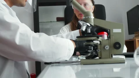 Overcoming world hunger. Team work of scientists entomologists on the study of Stock Footage 241666917
