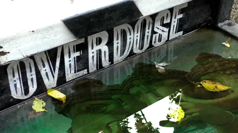 Overdose Water Ganesh Reflection Stock-Footage 66112001