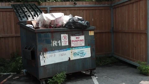 Overfilled old garbage dumpster in parking lot surrounded by wood fence, garbage Stock Footage 247144627