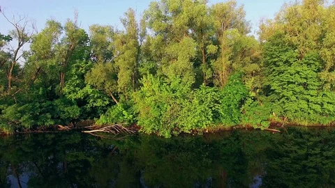 Overflight above the riverbank Stock-Footage 99508714