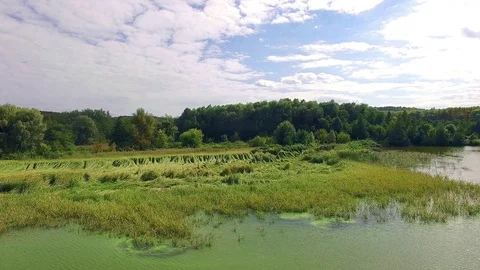 Overflight above the riverbank Stock Footage 101834322