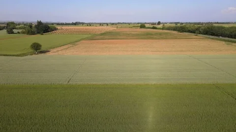 Overflight of fields of different colors Stock Footage 195957950