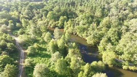 Overflight of forest and lake Stock Footage 70987492