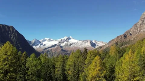 Overflight of the forest in the mountains. Stock Footage 163657140