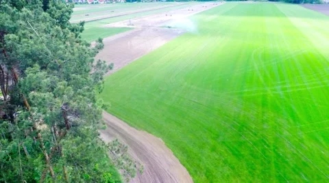 Overflight irrigation field Stock Footage 50295172