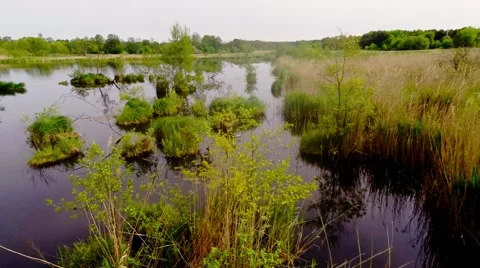 Overflight Lake Stock Footage 50130251