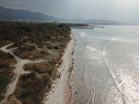 Overflight over the sea and behind trees Vidéo 80794625