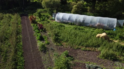 Overflight of a small farm with fields and beds Stock Footage 220445305
