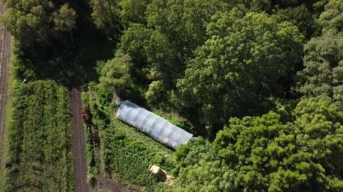 Overflight of a small farm with fields and beds Stock Footage 220447255