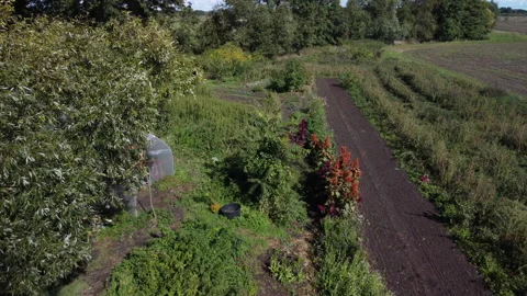 Overflight of a small farm with fields and beds Stock Footage 220447316