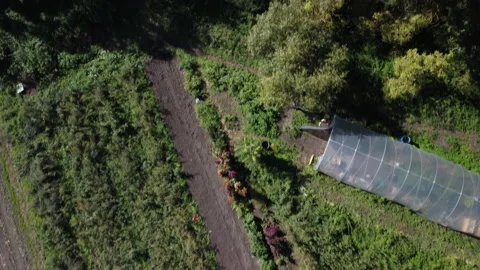 Overflight of a small farm with fields and beds Stock Footage 220448524