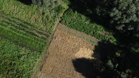 Overflight of a small farm with fields and beds Stock Footage 220450763
