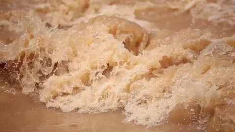 Overflow flooding form rain Stock Footage 72113424