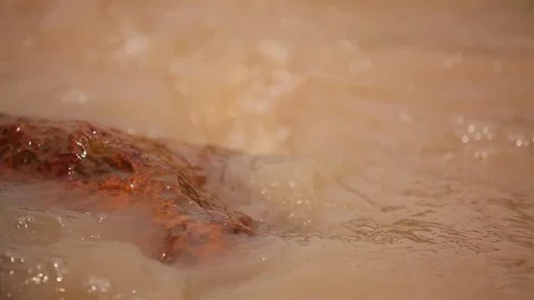 Overflow flooding form rain Stock Footage 72113671