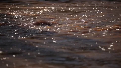 Overflow flooding form rain Stock Footage 72114081