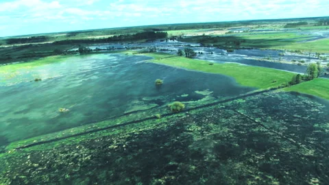 Overflow of the river, into the fields, flood. Desna river Video stock 154657676