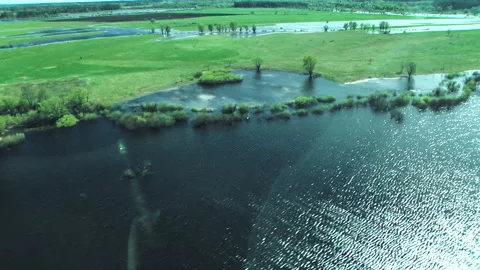 Overflow of the river, into the fields, flood. Desna river 스톡 동영상 154657962