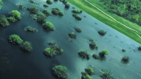 Overflow of the river, into the fields, flood. Desna river Видео 154658241