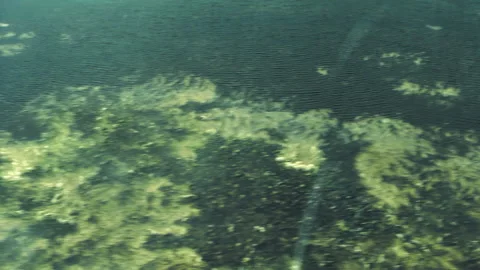 Overflow of the river, into the fields, flood. Desna river Stock Footage 154658648