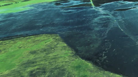 Overflow of the river, into the fields, flood. Desna river Stock-Footage 154660213