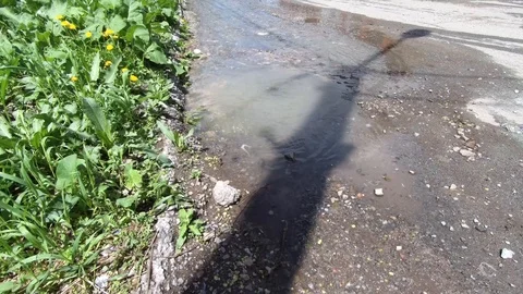 Overflow Sewerage. Stock Footage 108379749