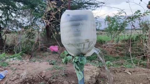 Overflow of water from a pipe in the farming fields Stock Footage 155761179