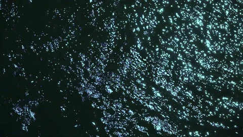 Overflow of water surface on river. slow motion Stock Footage 167885967